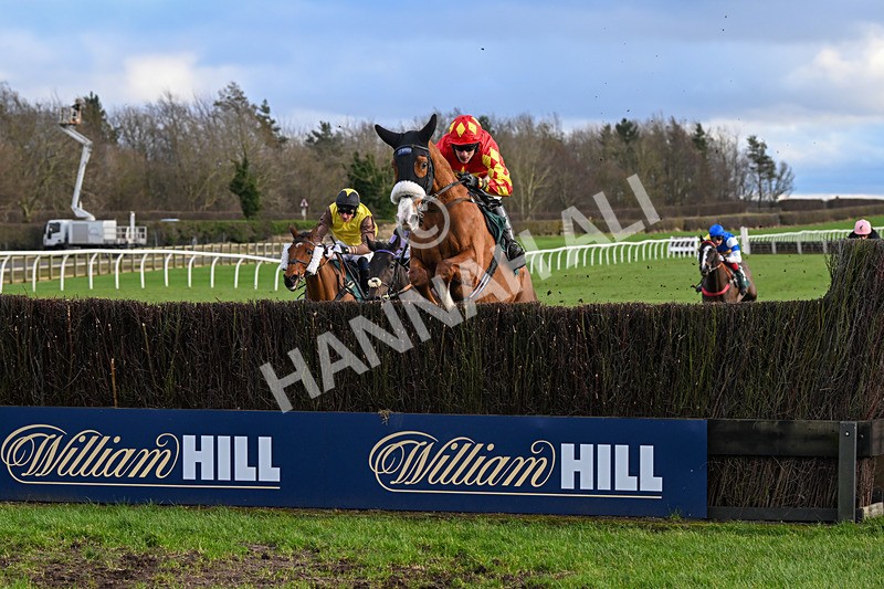 020224-Race 4-Treaty Boy-8332 - Race 4