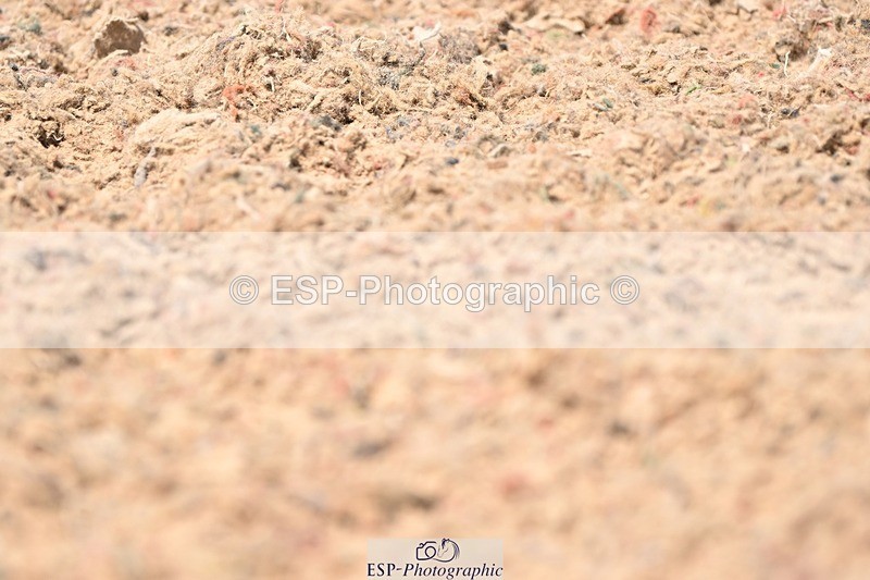 250620-144622-04223 - BD Cls 10 - Medium 5, Start to 15.20pm