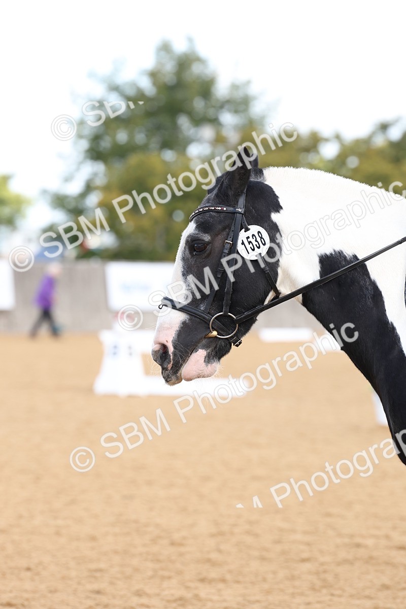 SBM_16208 - D10 - Small Tour Championship Prelim 2