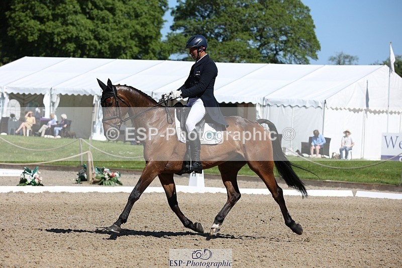 230526-101827-05225 - 360-NO_RUSH_ONE-Marcio_Carvalho_Jorge-WEDTrotUp+DR