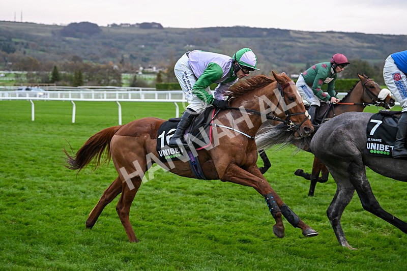 171124-Race 5-Toll Stone-4241 - Race 5