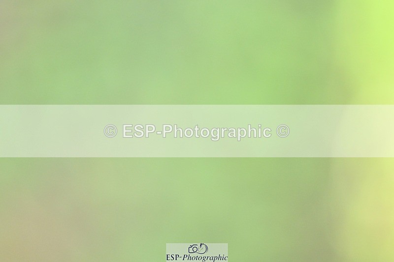 261014-115330-00304 - Cls 04 Senior 1.05m