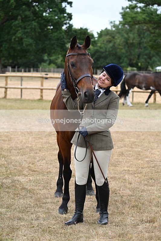 WJ7_9147 - Class 4a Prettiest Mare 14.2hh and over