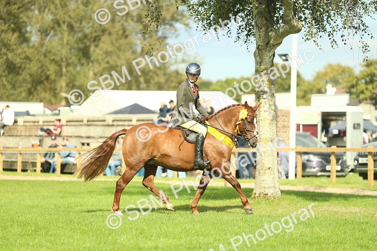 SBM_44908 - Working Hunter Pony Supreme Championship