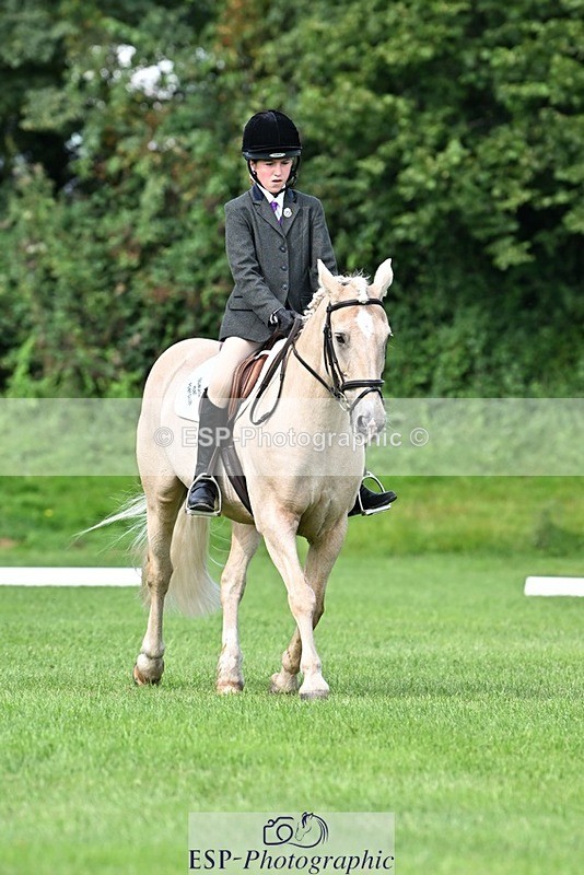 230826-103719-16601 - Sections A & B 10 to End