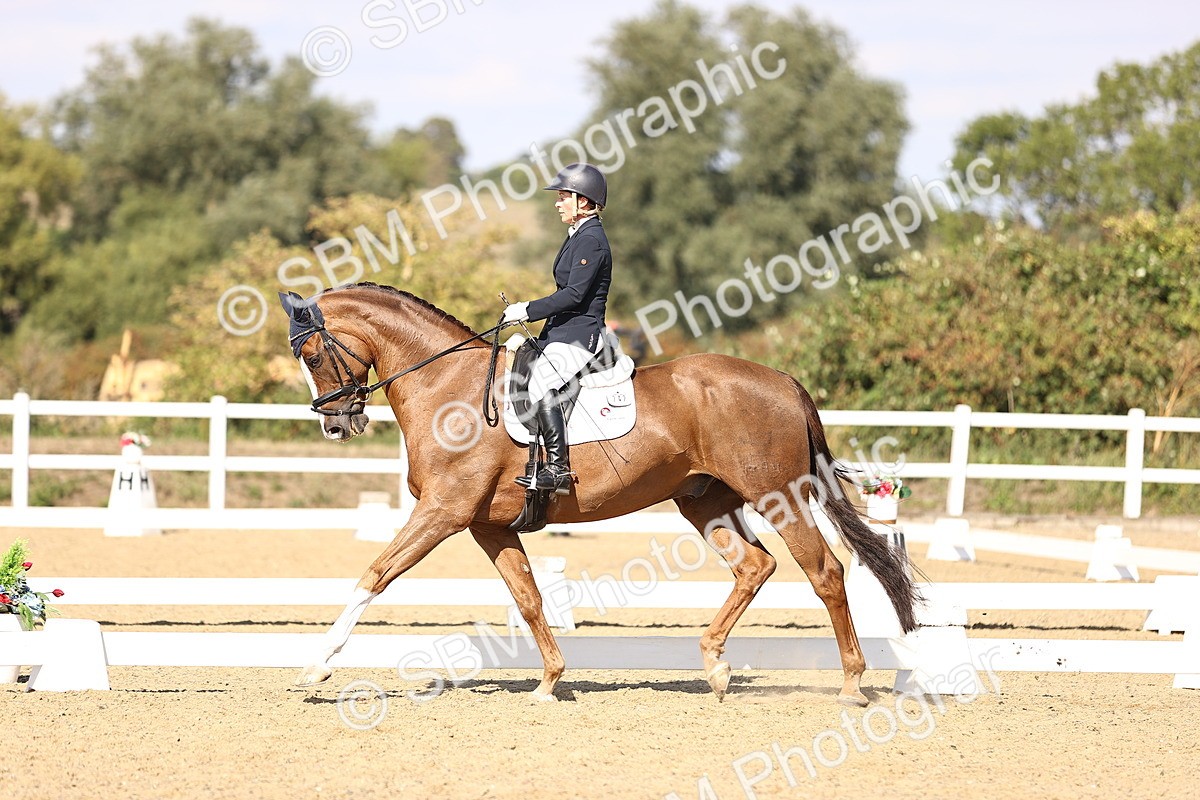 SBM_015257 - Class 8 - Medium 5