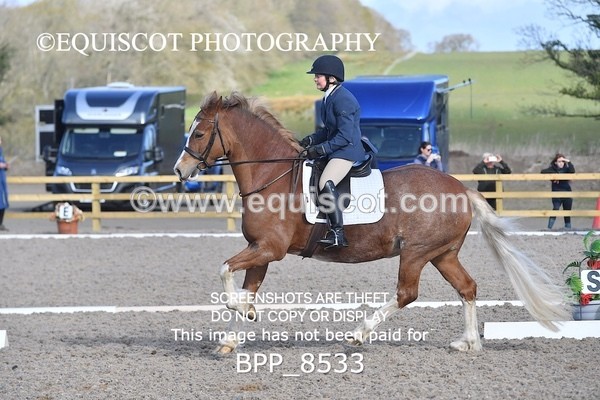 BPP_8533 - PRELIM 4
