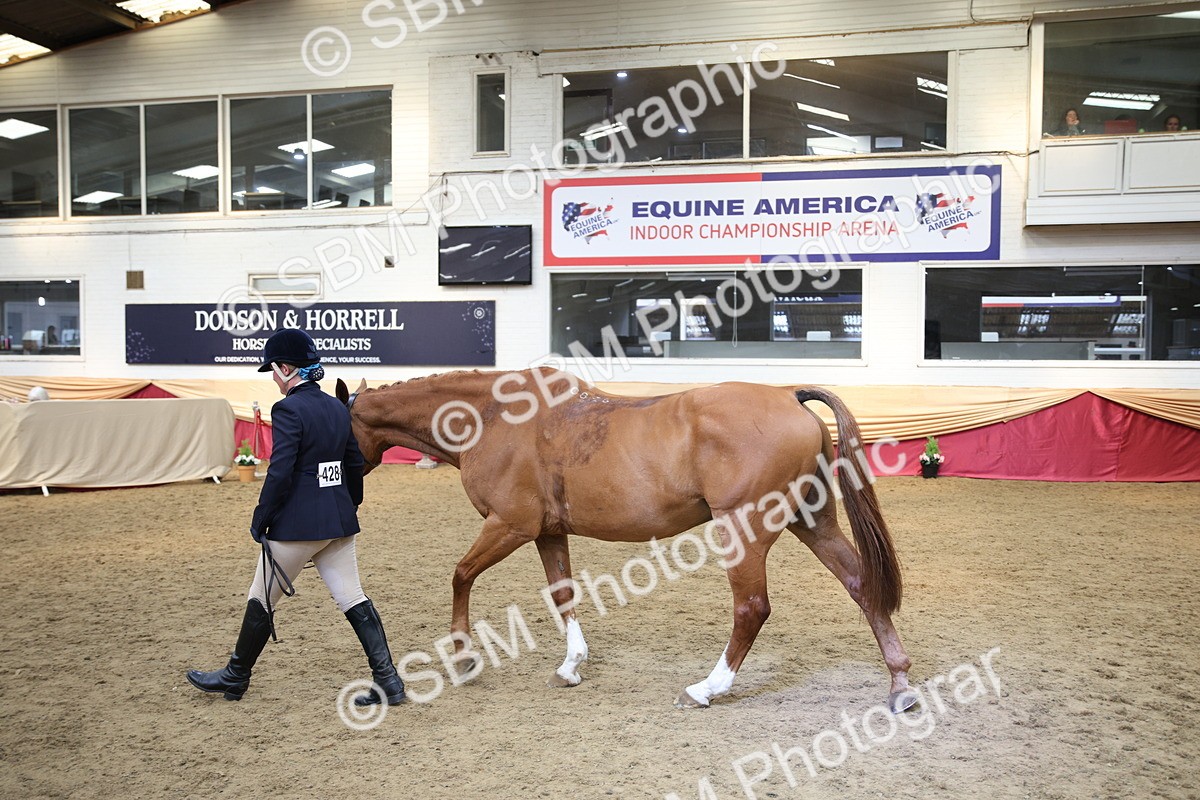 SBM_24281 - Class 905 - Supreme Final - Ridden Veteran