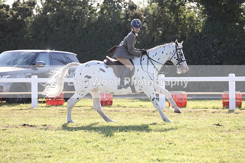 JPP_3180 - Class 21: Working Hunter 80cm