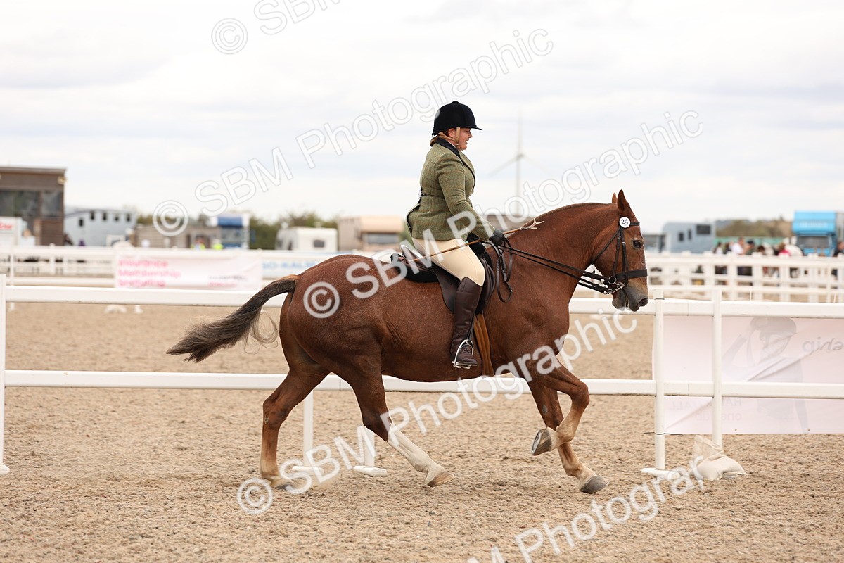 SBM_19552 - Class 215 - Ridden Show cob