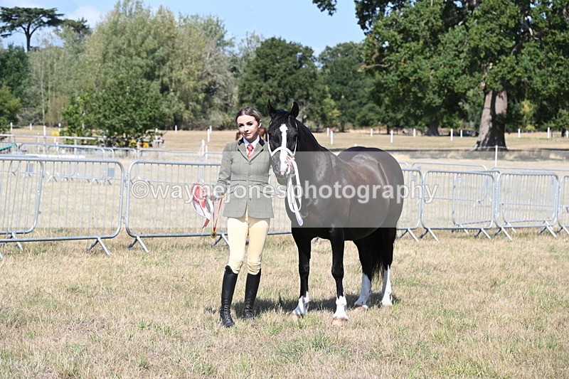 WJ6_5025 - Class 17 Mountain & Moorland