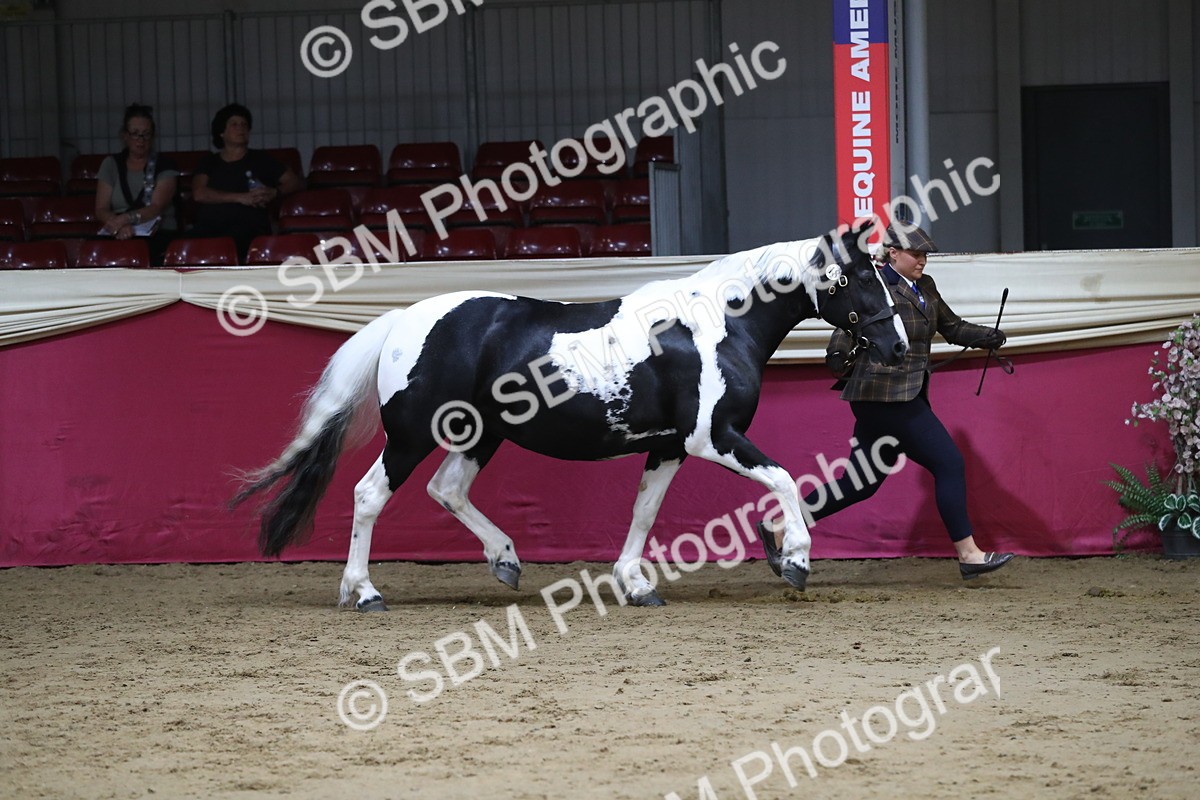 SBM_06308 - Class 9R Regional- IH Pre Vet