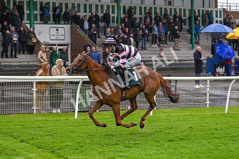 230524-Race 6-Cori Glory-1945 - Race 6