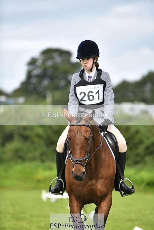 230826-101531-15412 - Sections C & D 10 to End