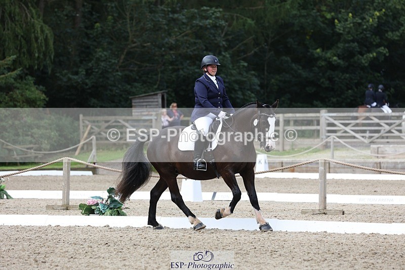 230812-112027-03738 - Cls 5 Novice Bronze 11.15 to 12.50 break