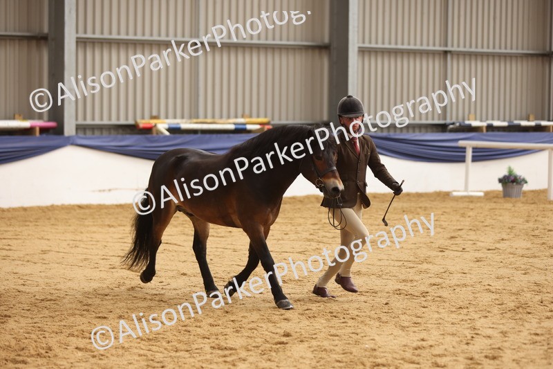 20260913-0656 - Class 126 - Novice Ridden