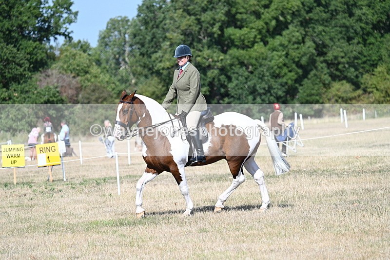 WJ7_2853 - Class 8 Ridden Tack & Turnout