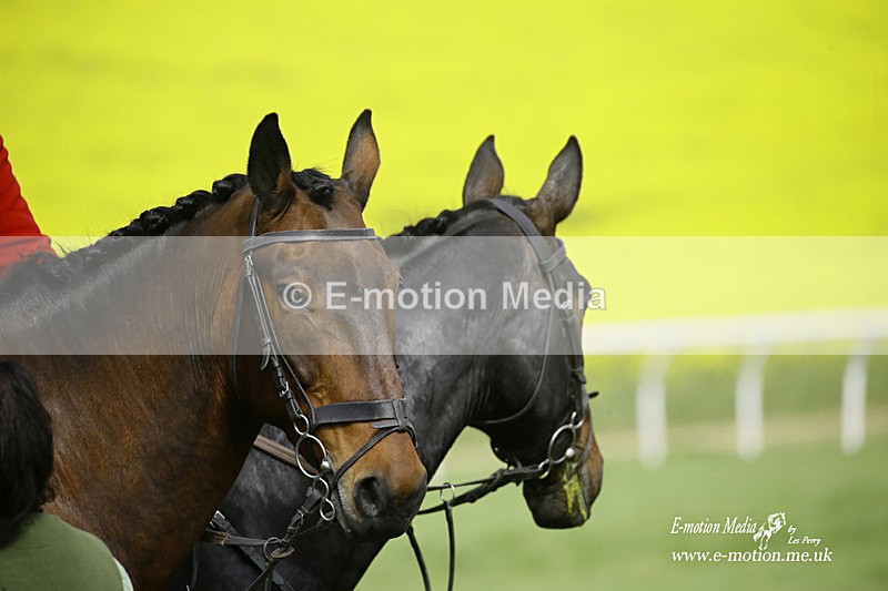 PtP 180422 145 - Old Berkshire PtP Lockinge 18/04/22
