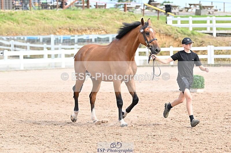 240717A-163848-03470 - Trot Up 4pm to 5pm