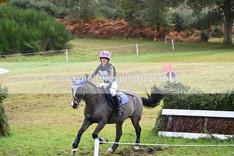 WJ6_1771 - 80cm Cam 1 Time 10:08 to 10:45