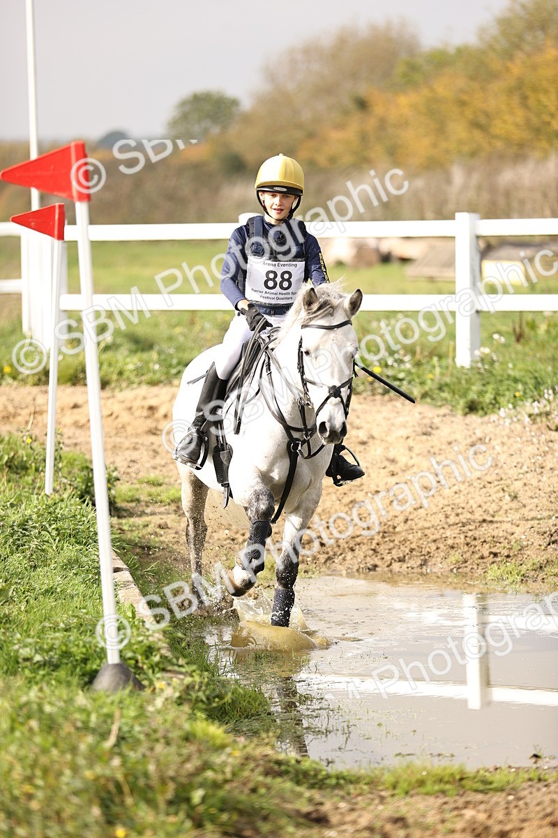 SBM_003308 - Class 2 - 80cm