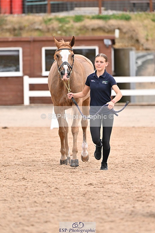 250716-153013-01968 - Trot Up 3.30 to 4.30