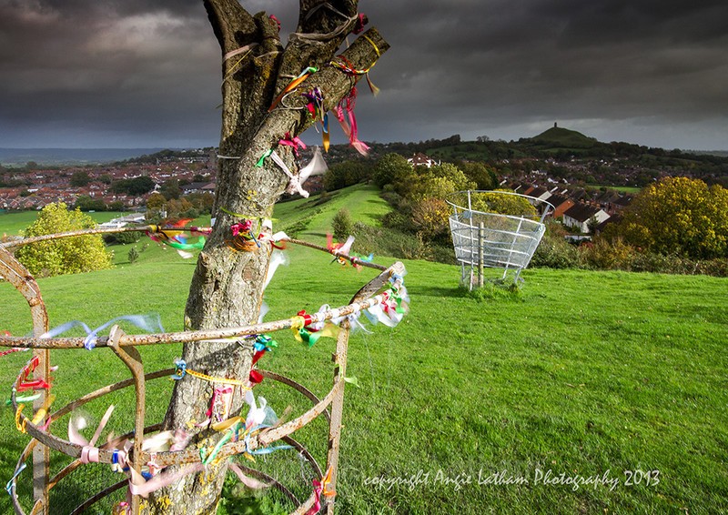 Glastonbury Thorn - Ancient Sites