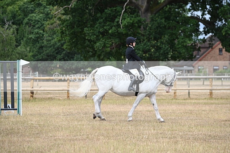 WJ6_7527 - Class 9 Tack and Turnout
