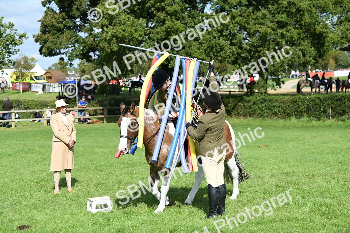SBM_47124 - S12 - Family Horse & Pony