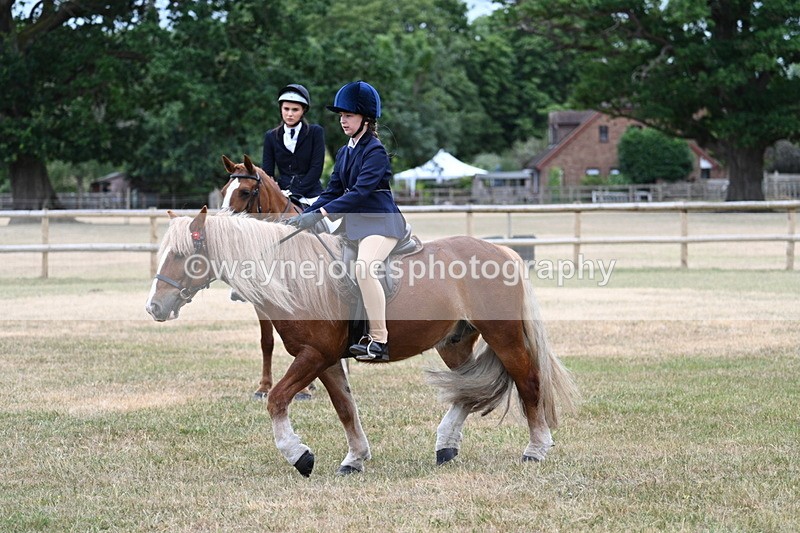 WJ7_0446 - Class 2 Best rider