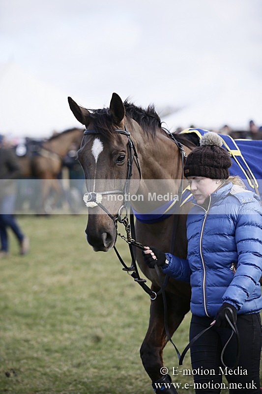 PtP 040218 74 - Point-to-Point Milborne St Andrew 04/02/18