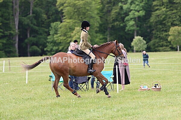 IMG_3008 - Working Hunter