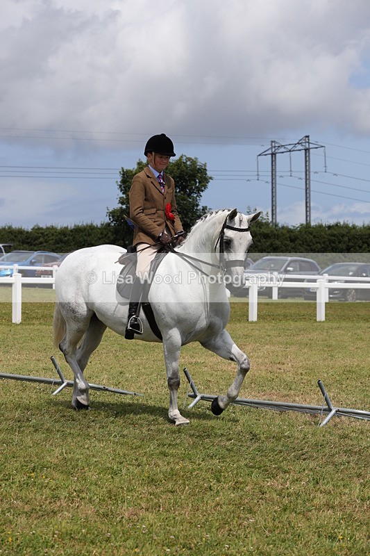 1X9A4216 - Plaited Ridden Championship