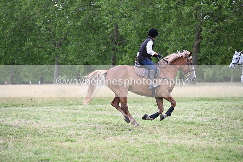 WJ6_4983 - Time at Jump 13:04 to 13:34