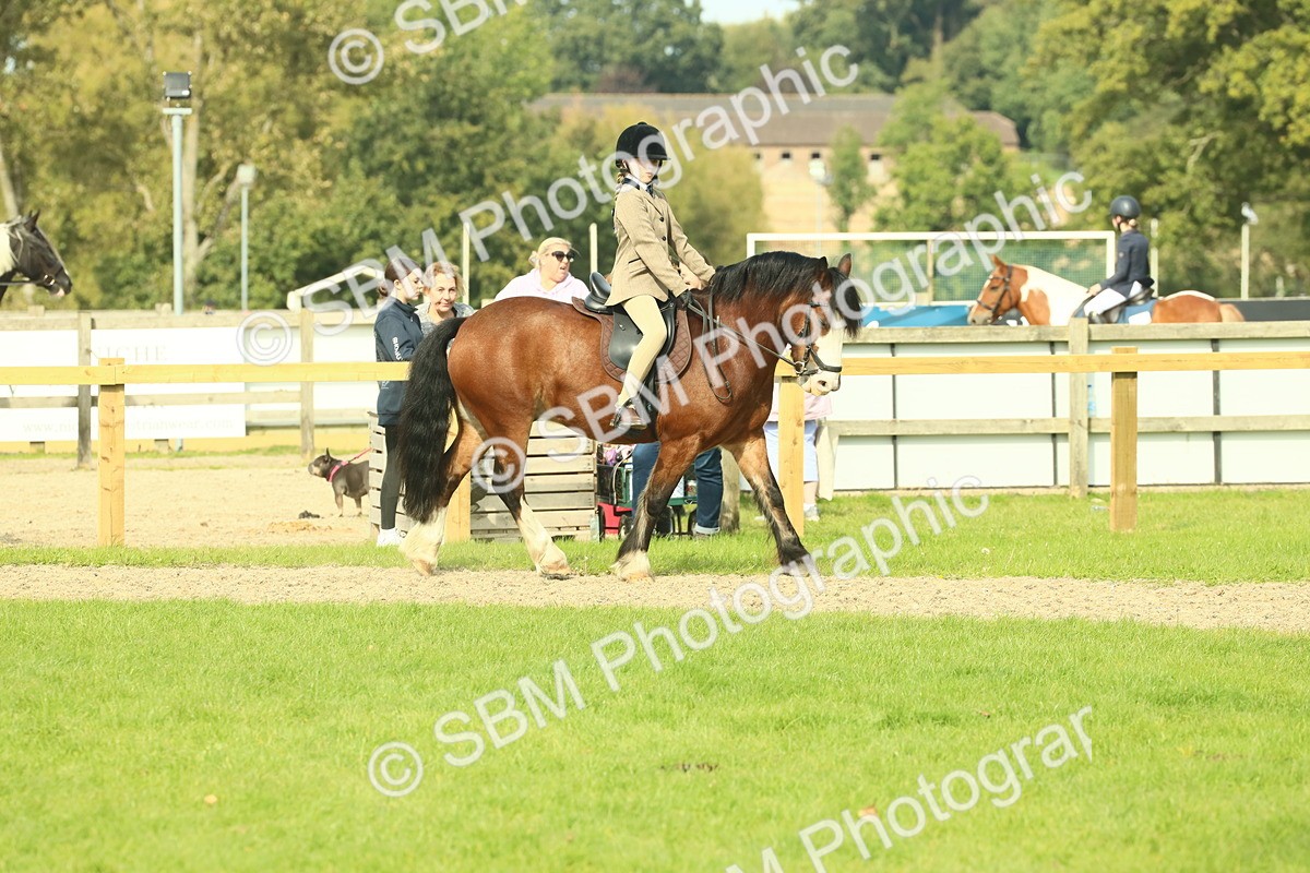 SBM_69041 - S58 - Mini Show Cob Ridden
