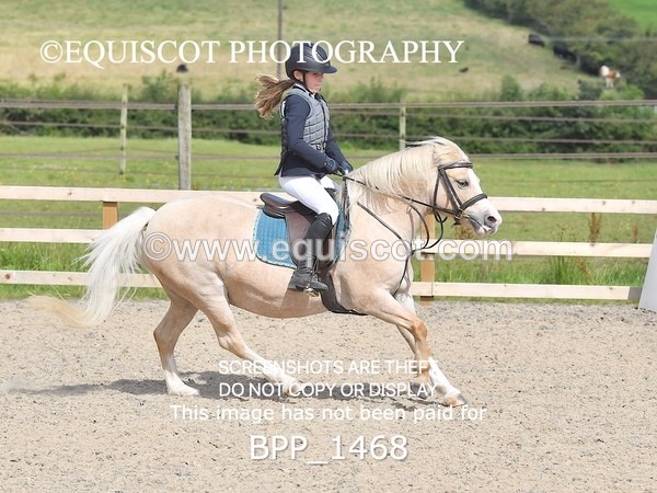 BPP_1468 - DERBY CLASS 3 - 40CM