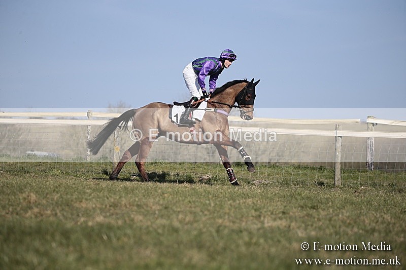 PtP 240218 219 - Vine & Craven Hunt Point-to-Point Barbury racecourse 24/02/18