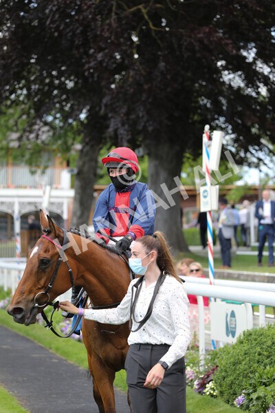 yr12062021r1-37 - Race 1 2.00pm Queen Mother's Cup