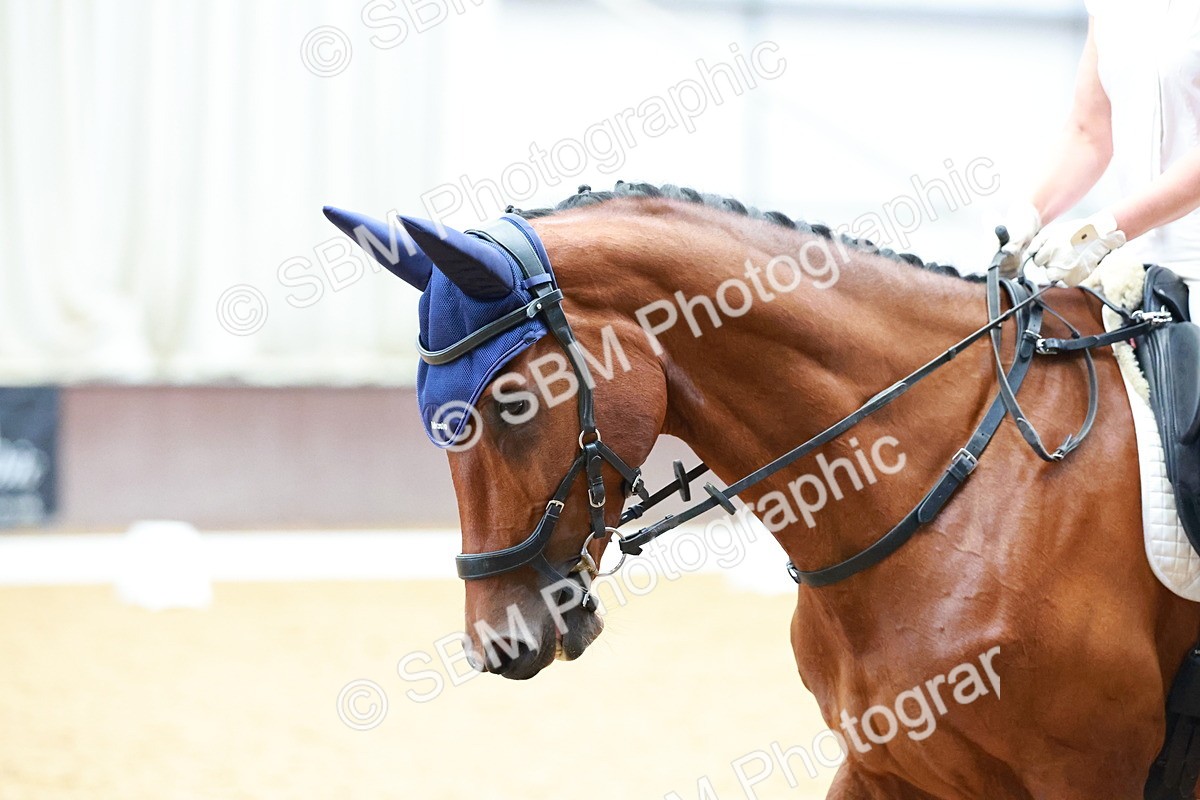SBM_006201