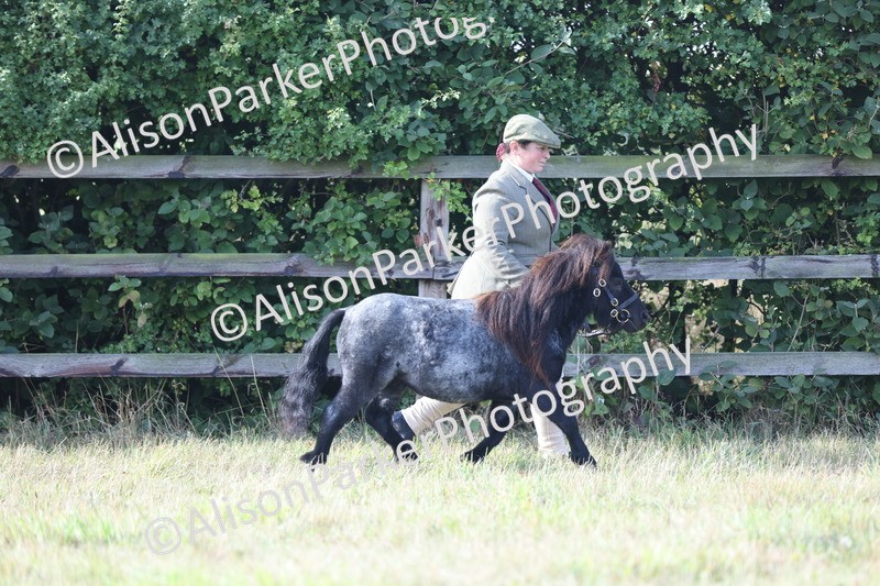 20250831-1384 - Class 21 - Inhand Open