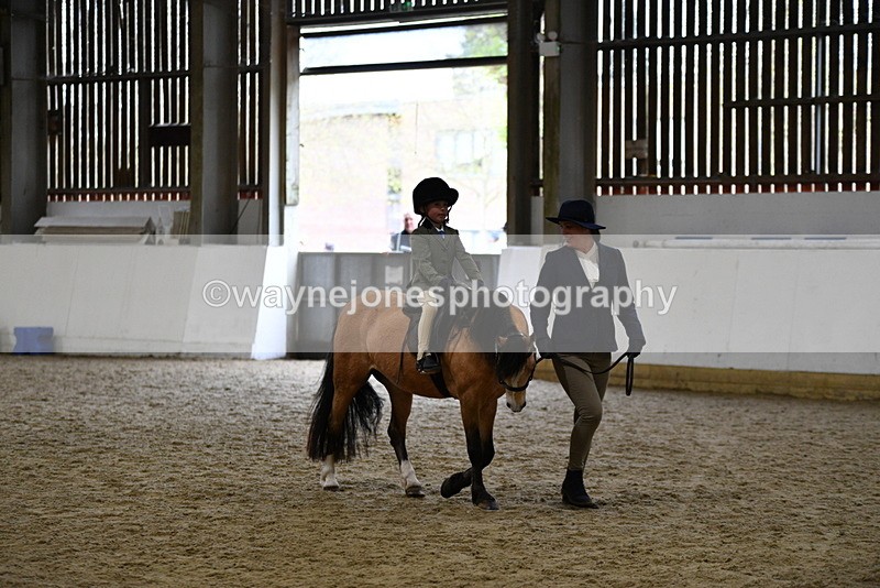 WJ5_6750 - Class 10 Childs Pony