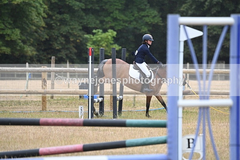 WJ6_0003 - Class 13 Novice Jumping 60cm