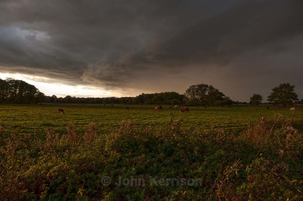  - Landscape
