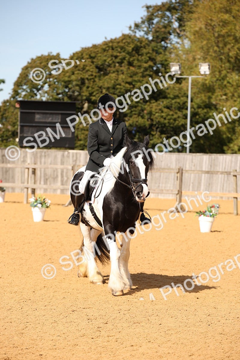 SBM_21840 - D5 - Small Tour Championship - Intro C
