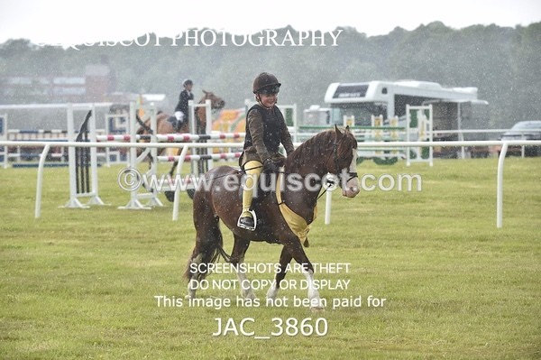 JAC_3860 - 65cm WORKING HUNTER