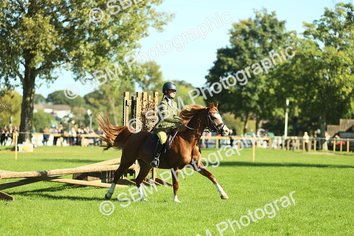 SBM_37437 - S29 - Novice & Newcomers Working Hunter Pony