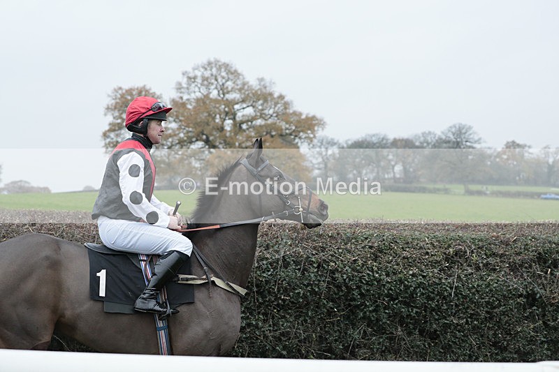 PtP 041222 0388 - Wheatland  Hunt PtP Chaddesley Corbett, Worcs 04/12/22