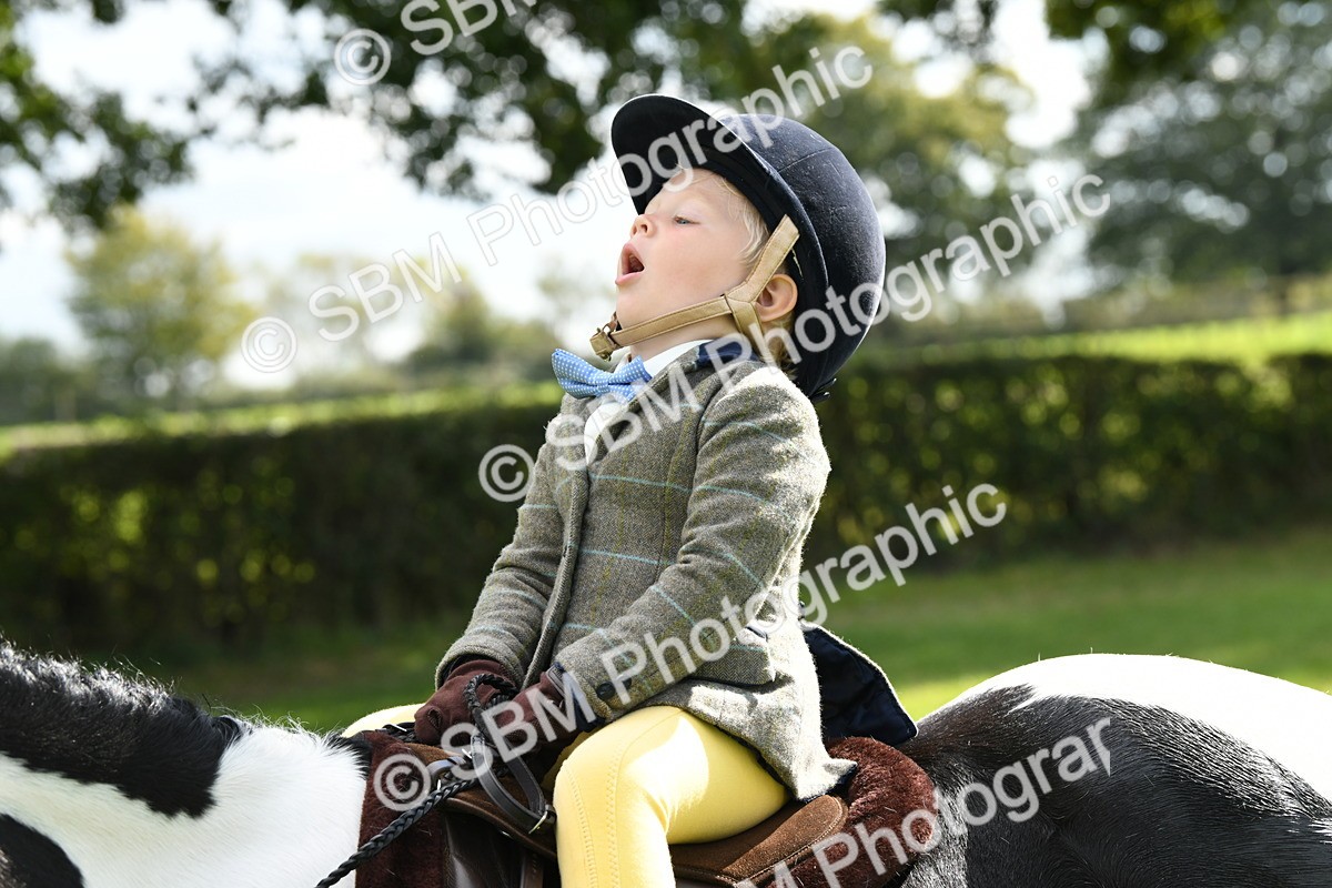 SBM_41224 - S19 - Lead Rein Show & Show Hunter Pony