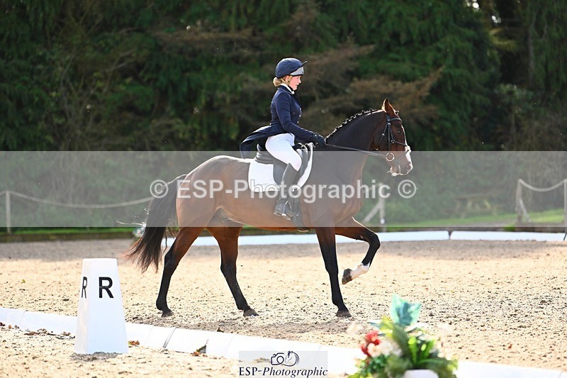 231021-142022-17812 - 356-KASAGRANDE.VR-Gemma.Watts-DR