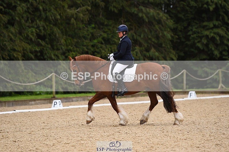 230426-111224-00406 - Cls 4 Novice 38Q Start to 11.30 break